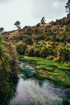 Fotograf&iacute;a del agua en Putaruru Blue Spring en Nueva Zelanda.