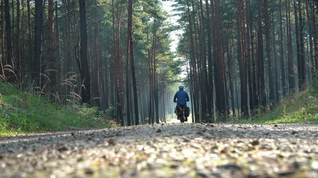 Wyprawa rowerowa z sakwami w lasach. Lasy Błędowskie w Polsce jesienią podczas pięknej pogody