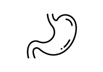 Clean line art illustration of the human stomach, a vital organ for digestion and health, perfect for medical or educational concepts