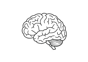 Striking minimalist line art of a human brain, symbolizing intelligence, thought, and knowledge for educational or medical concepts.