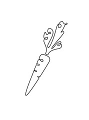 Carrot. Linear vector illustration.