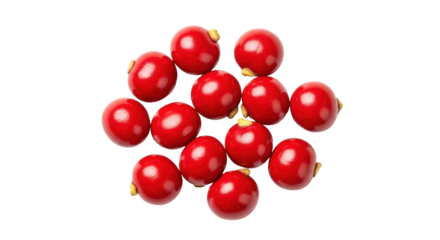 Isolated shiny red Jojoba beads pile, close-up, in the center of a frame, macro studio shot