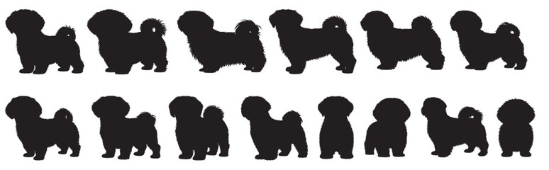  shih tzu dog silhouette white background