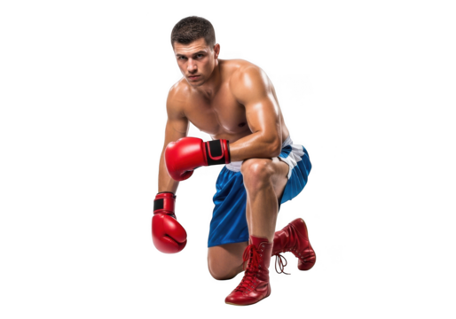 Professional boxer resting on knee with red boxing gloves and boots, athlete, fighter, sportsman isolated on transparent background