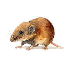 Cute Brown Mouse Illustration Vector Art Isolated.