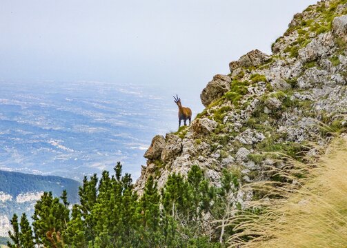 National park of Majella, Italy - Mountain summits in the Majella range, central Italy, Abruzzo region, with characteristic landscape of rocky expanses between valleys and plateaus.