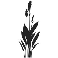 Monochrome silhouette of cattails and plants.