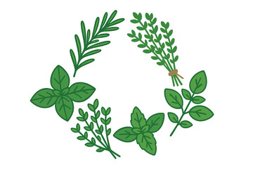 Fresh culinary herbs basil rosemary and thyme arranged in a decorative circular frame