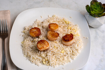 pan sheared scallops  served with rice