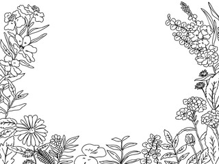白黒シンプルな線画のボタニカルなフレーム素材・野草・お洒落