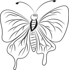 Simple line drawing of a butterfly with detailed wings and antennae