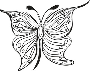 Detailed black and white line drawing of a delicate butterfly with intricate wing patterns
