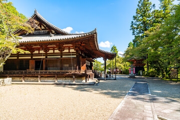 【奈良県】奈良市 霊山寺 (2025/10/07 撮影)