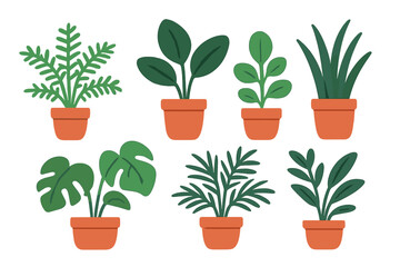 Set of various potted green houseplants and tropical foliage on a white background
