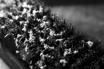 Black and white abstract macro close up of bristle texture covered in dust. This monochrome detail...