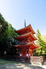 Fototapeta premium 【奈良県】奈良市 霊山寺 (2025/10/07 撮影)