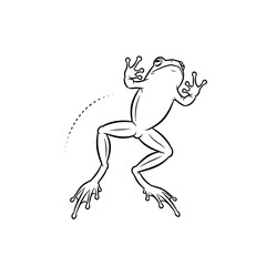 Fototapeta premium frog on the water