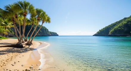Tropical Paradise - Serene Beach with Palm Trees and Turquoise Water.