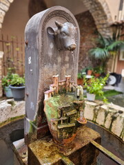 Cow fountain, Italy
