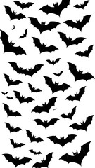 Bats on white background