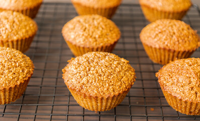 Homemade Healthy Pumpkin Muffins Fall Treat
