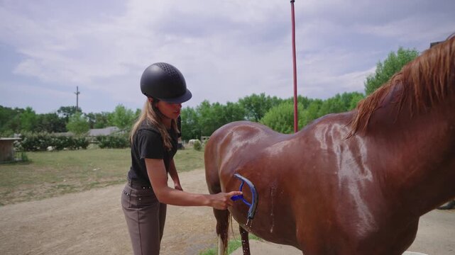 Female Rider Scraping Water Off Horse with Sweat Scraper