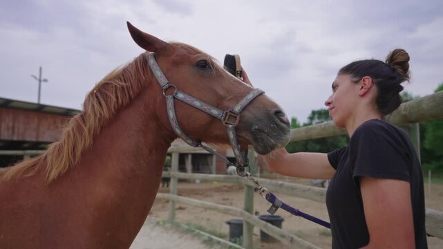 Woman Brushing Under Horse&rsquo;s Chin with Soft Mitt