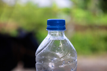 Stay refreshed with a crisp, clean water bottle against a lush green background, perfect for promoting hydration, healthy living, and sustainable choices in your next campaign