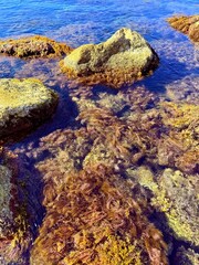 big stones in the blue sea transparent water
