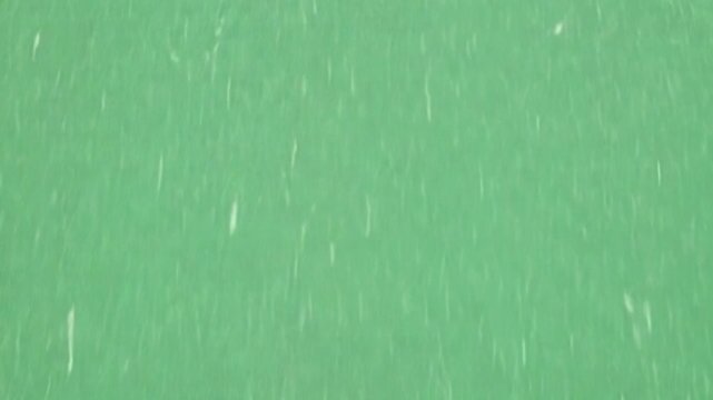 Rain in The Green: A visual ode to the gentle, yet vital, interaction between nature's elements, creating an environment of serenity and harmony.