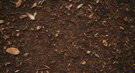 Textured earth surface with dry leaves and small debris, natural, outdoor setting, copy space