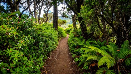 Fototapeta premium A narrow dirt path winds through lush, verdant foliage, with trees and ferns flanking it. The trail disappears around a bend, creating a sense of exploration