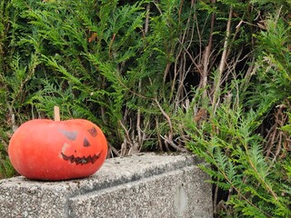 Halloween ornament - Pumpkin on a wall