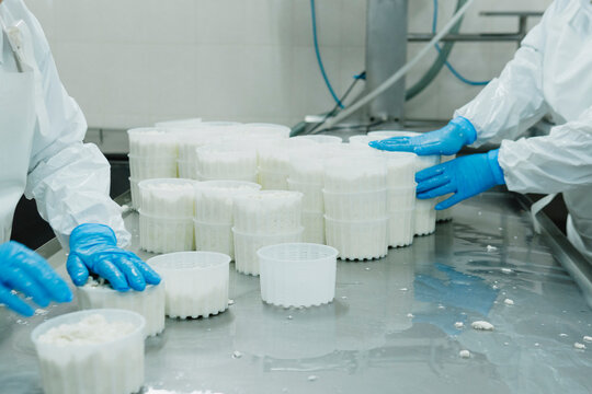 Mozzarella cheese factory. Produces handmade mozzarella with fresh milk, close up