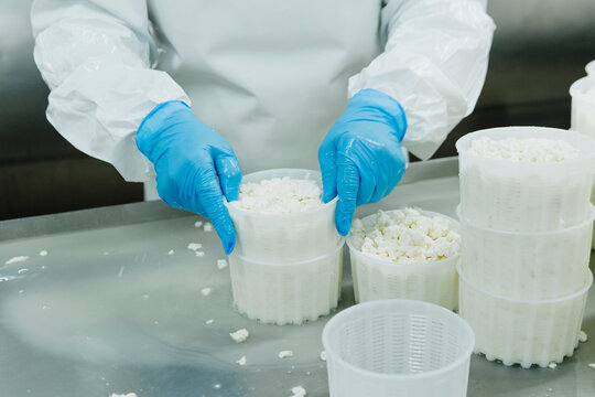 Mozzarella cheese factory. Produces handmade mozzarella with fresh milk, close up