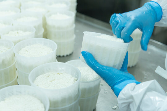 Mozzarella cheese factory. Produces handmade mozzarella with fresh milk, close up