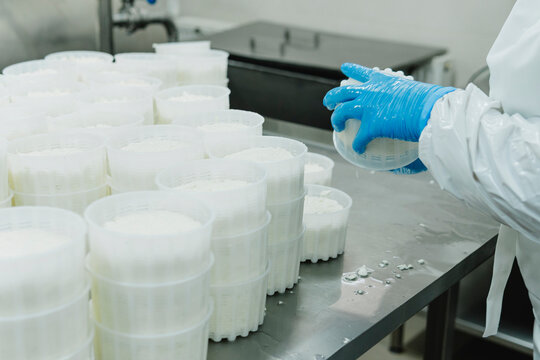 Mozzarella cheese factory. Produces handmade mozzarella with fresh milk, close up