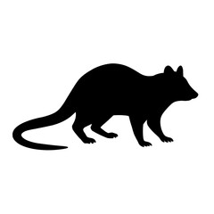 Quoll silhouette vector style