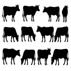 Cow set silhouette vector style