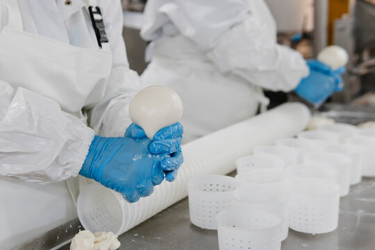 Mozzarella cheese factory. Produces handmade mozzarella with fresh milk, close up