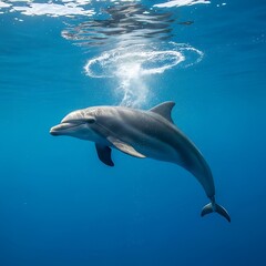 Naklejka premium Dolphin Swimming Underwater in Clear Blue Ocean Water.
