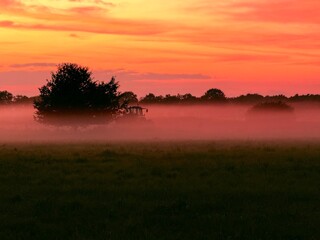 fantastic orange sky at the field, foggy sunset, trees silhouettes at the fog, farmland