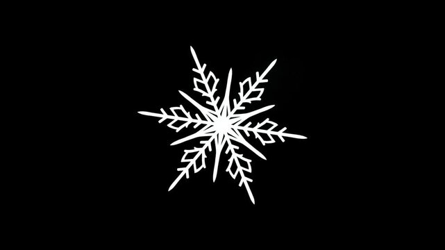 snowflake on black