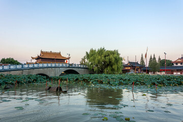 Naklejka premium Tranquil Reflections: A Scenic Bridge Amidst Lotus Flowers and Serenity