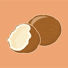 illustration of a mature coconut, with a brown outer skin