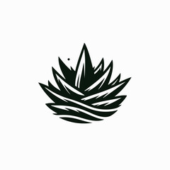 Aloe vera vector illustration