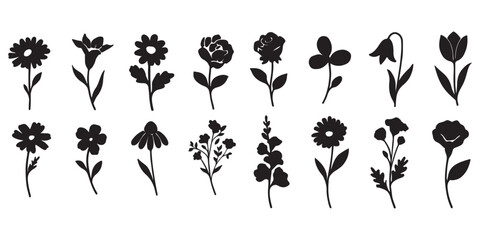 Collection of flower silhouettes. Flowers and plants set silhouette on a white background.