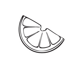 Citrus slice, vector linear drawing in minimalist outline style white background. lemon, orange, lime, and grapefruit. Perfect for packaging, juice labels, kitchen decor, and healthy lifestyle design