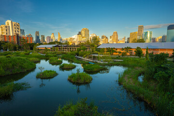 Obraz premium Green city park with swamp sunset blue sky cloud trees track running walking relax in park on green grass field on the side