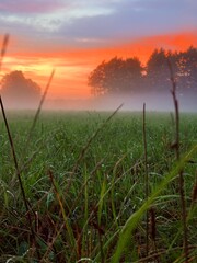 beautiful purple and orange sky at the foggy field, foggy field twilights